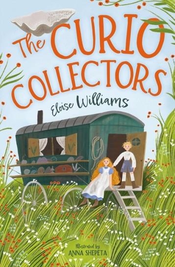 THE CURIO COLLECTORS | 9781800902008 | ELOISE WILLIAMS