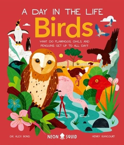 BIRDS (A DAY IN THE LIFE) : WHAT DO FLAMINGOS, OWLS, AND PENGUINS GET UP TO ALL DAY? | 9781838992705