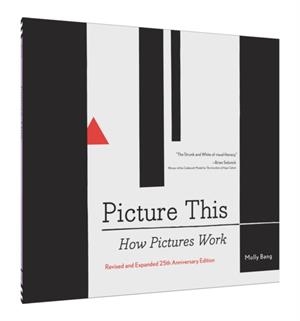 PICTURE THIS: HOW PICTURES WORKPICTURE THIS: HOW PICTURES WORK | 9781452151991 | MOLLY BANG