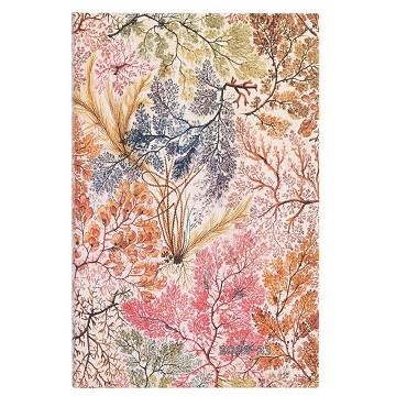 AGENDA 2024 18 MESES / ANÉMONAS - SERIE WILLIAM KILBURN / MAXI | 9781408753941