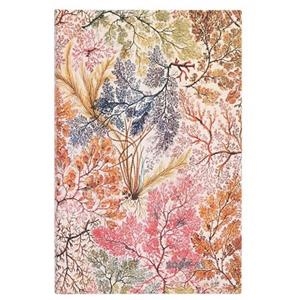 AGENDA 2024 18 MESES / ANÉMONAS - SERIE WILLIAM KILBURN / MAXI | 9781408753941