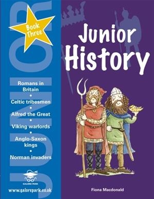 JUNIOR HISTORY BOOK 3-MANUFACTURED ON DEMAND | 9781902984995
