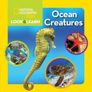 LOOK AND LEARN: OCEAN CREATURES | 9781426320637