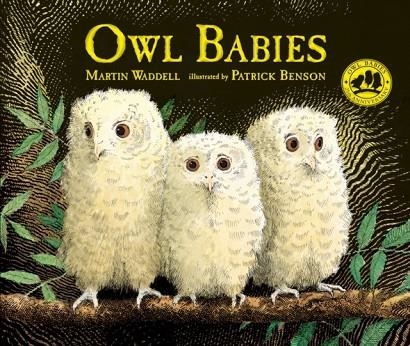 OWL BABIES | 9780763695194 | MARTIN WADDELL