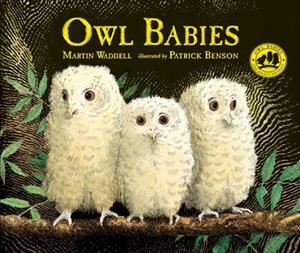 OWL BABIES | 9780763695194 | MARTIN WADDELL
