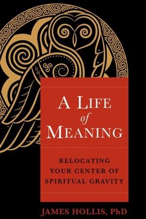 A LIFE OF MEANING | 9781649630728 | JAMES HOLLIS