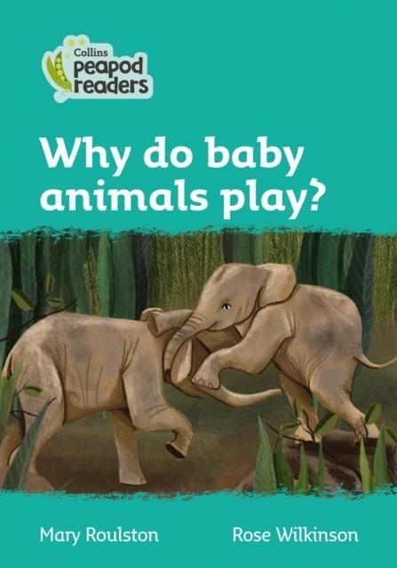 WHY DO BABY ANIMALS PLAY? | 9780008397241 | MARY ROULSTON