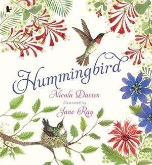 HUMMINGBIRD | 9781529523874 | DAVIES AND RAY