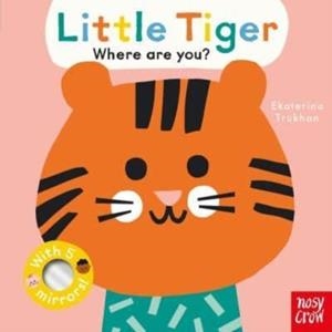 BABY FACES: LITTLE TIGER, WHERE ARE YOU? | 9781839948435 | EKATERINA TRUKHAN
