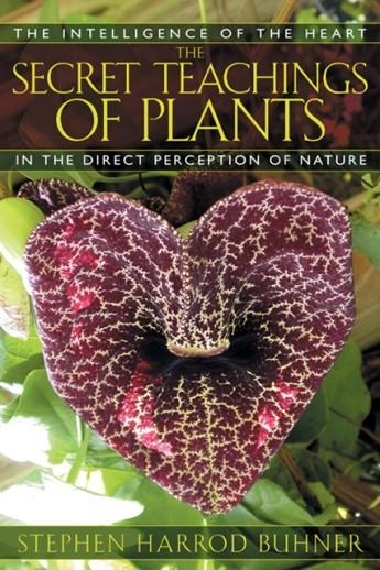 THE SECRET TEACHINGS OF PLANTS | 9781591430353 | STEPHEN HARROD BUHNER