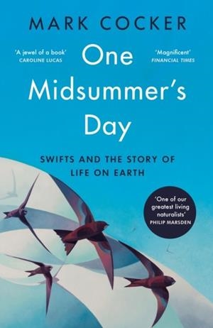 ONE MIDSUMMER'S DAY : SWIFTS AND THE STORY OF LIFE ON EARTH | 9781529921991 | MARK COCKER