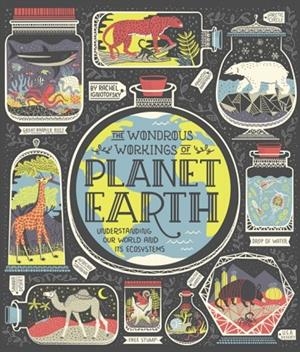 THE WONDROUS WORKINGS OF PLANET EARTH : UNDERSTANDING OUR WORLD AND ITS ECOSYSTEMS | 9780399580413 | RACHEL IGNOTOFSKY