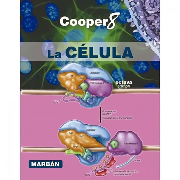 LA CELULA 8ª EDICION | 9788418068584 | GEOFFREY M. COOPER