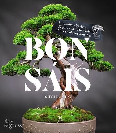 BONSÁIS | 9788419436610 | RÉMY SAMSON