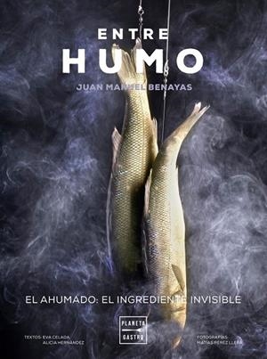 ENTRE HUMO | 9788408271048 | BENAYAS, JUAN MANUEL