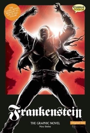 FRANKENSTEIN THE GRAPHIC NOVEL: ORIGINAL TEXT | 9781906332495 | MARY SHELLEY
