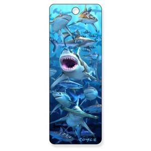 PUNTO SHARK CLUB | 0810554028203