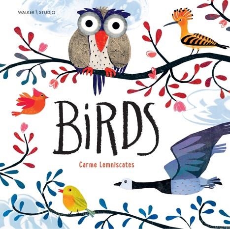 BIRDS | 9781529524284 | CARME LEMNISCATES