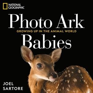 NATIONAL GEOGRAPHIC PHOTO ARK BABIES | 9781426224065 | JOEL SARTORE