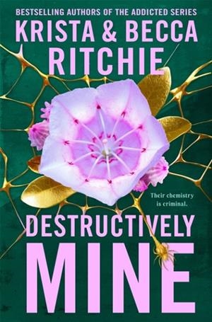 DESTRUCTIVELY MINE | 9781035025114 | KRISTA RITCHIE