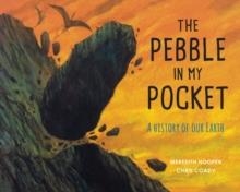 THE PEBBLE IN MY POCKET : A HISTORY OF OUR EARTH | 9781847807687