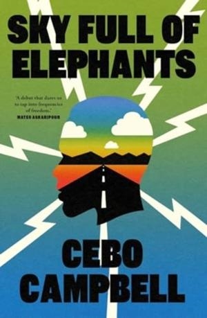 SKY FULL OF ELEPHANTS | 9781668087336 | CEBO CAMPBELL