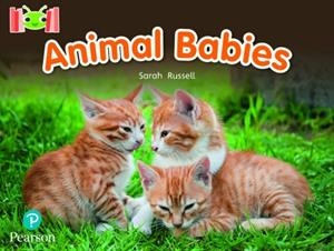ANIMAL BABIES | 9781292447209