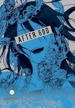 AFTER GOD VOL 1    | 9781974749706 | SUMI ENO 