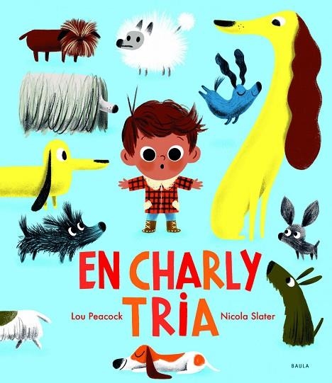 EN CHARLY TRIA | 9788447942770