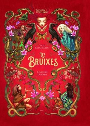 LES BRUIXES-1 | 9788447948987