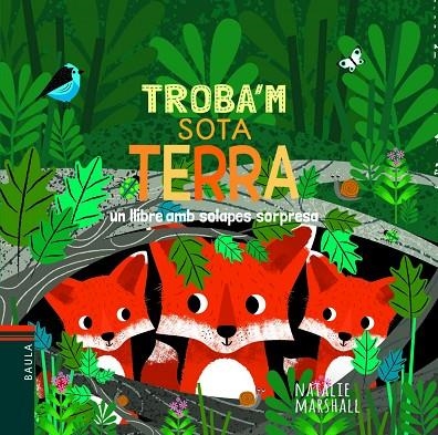 SOTA TERRA | 9788447939725