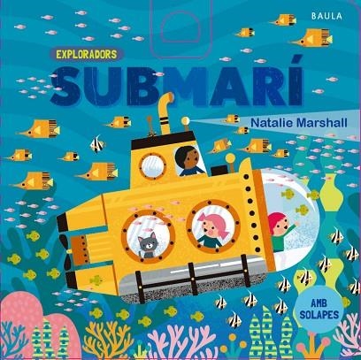 SUBMARÍ + 12 MESES | 9788447953738