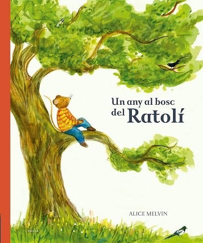 UN ANY AL BOSC DEL RATOLÍ | 9788447946532