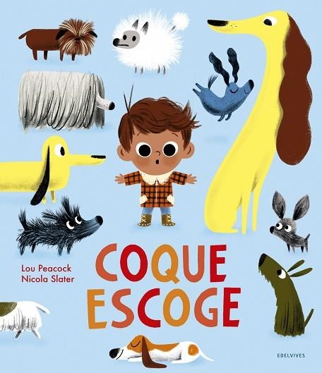 Coque escoge  - A partir de 3 años | 9788414030837
