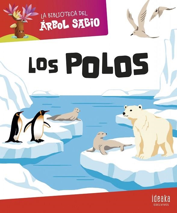 Los polos  + 4 años | 9788414044353