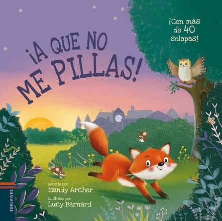 ¡A que no me pillas! - A partir de 3 años | 9788414042960