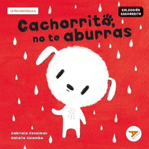 CACHORRITO, NO TE ABURRAS (LETRA MAYÚSCULA)-11 | 9788414064979