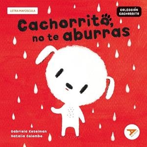CACHORRITO, NO TE ABURRAS (LETRA MAYÚSCULA)-11 | 9788414064979