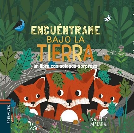 BAJO LA TIERRA -6 | 9788414023327
