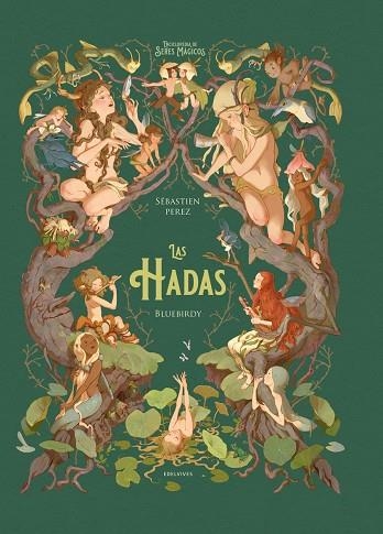 Las hadas + de 10 años- Sébastien Perez, ilustrado por Bluebirda | 9788414041703