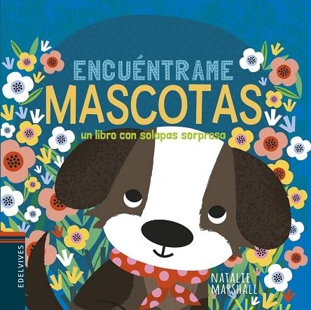 MASCOTAS -5 | 9788414023310