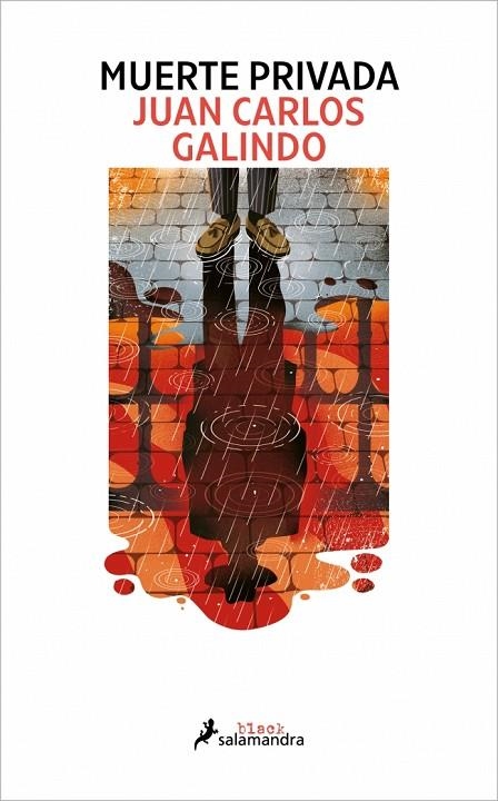 MUERTE PRIVADA (SEGOVIA NOIR 2) | 9788410340503 | JUAN CARLOS GALINDO