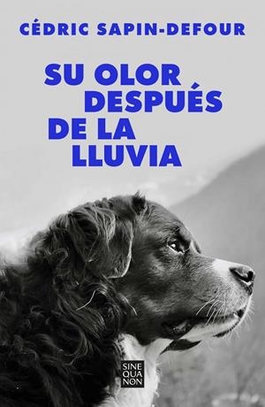 SU OLOR DESPUÉS DE LA LLUVIA | 9788466678766 | CÉDRIC SAPIN-DEFOUR