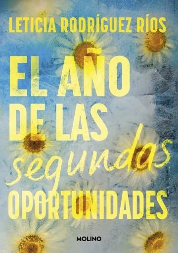 EL AÑO DE LAS SEGUNDAS OPORTUNIDADES | 9788427242807 | LETICIA RODRÍGUEZ RÍOS