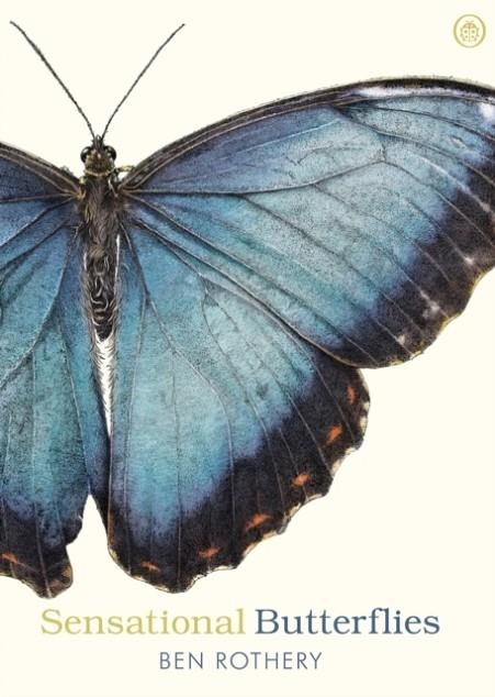 SENSATIONAL BUTTERFLIES | 9780241361054 | BEN ROTHERY