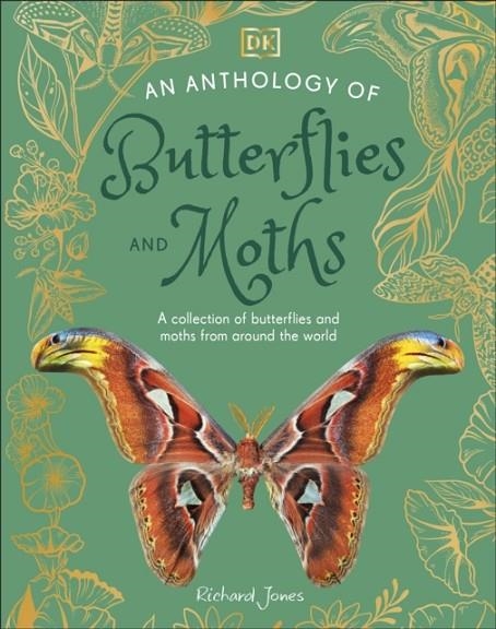 ANTHOLOGY OF BUTTERFLIES AND MOTHS, AN: A COLLECTION OF BUTTERFLIES AND MOTHS FROM AROUND THE WORLD | 9780241704851 | RICHARD JONES