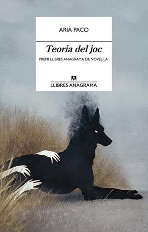 TEORIA DEL JOC | 9788433929372 | ARIÀ PACO