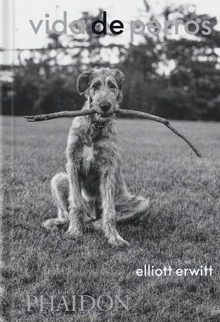 ESP VIDA DE PERROS | 9781838669744 | P.G. ERWITT