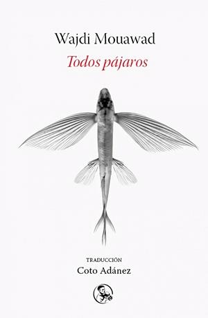 TODOS PAJAROS 3¦ED | 9788495291936 | AJDI MOUAWAD