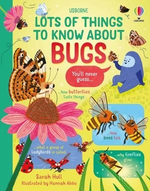 LOTS OF THINGS TO KNOW ABOUT BUGS | 9781805074403 | SARAH HULL